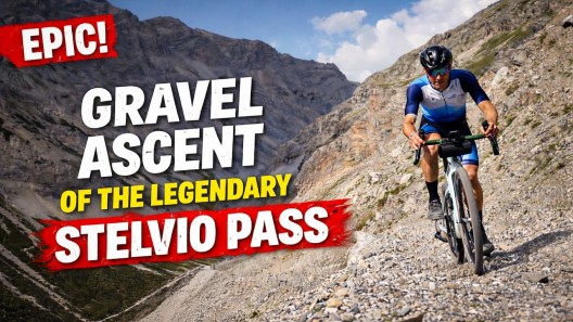 Gravel Stelvio - Full Send!